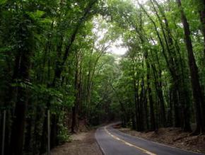 Road to Bohol visitor centre - 1